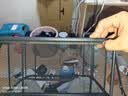 衣炫鞋架多层家用门口室内入户门小窄免安装折叠简易鞋柜宿舍出租房用 3层50cm-高级黑【双加强筋+支撑拉条】 实拍图