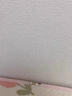 晴画抗菌防撞墙贴墙纸自粘防水防潮防霉壁纸无甲醛贴纸经典白50*280cm 实拍图
