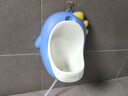 taoqibaby儿童小便器男孩站立式小便池小便斗可挂墙宝宝尿尿神器马桶坐便器 实拍图