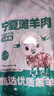 羊小柒宁夏滩羊烧烤羊肉串 烤串新鲜羔羊肉串原切 烧烤食材 3斤源头直发 实拍图
