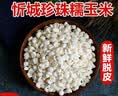 旷古农业广西忻城珍珠白糯玉米粒脱皮玉米头粥 碎碴子糁煲粥杂粮煮粥 2.5kg 脱皮中颗粒 煮粥软糯粘稠 实拍图