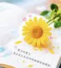 红蜻蜓（RED DRAGONFLY）乳胶床垫1.5米x2米榻榻米床垫家用加厚记忆棉床褥宿舍床垫子褥垫 GOOD蓝色厚6cm【泰国进口乳胶+慢回弹记忆绵】 150*200cm【有支撑 不易塌陷】 实拍图