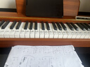 贝琪（Betsy）B351电钢琴88键重锤成人儿童电子钢琴家用练习初学者专业考级钢琴 B351-重力度88键木纹棕 实拍图
