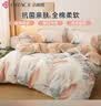 洁丽雅四件套 A类7A抗菌面料全棉亲肤 100%纯棉AB版 1.5/1.8M床 清雅 实拍图