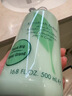 伊丽莎白雅顿绿茶身体乳500ml清爽润肤保湿滋润缓解干燥礼物送朋友 实拍图