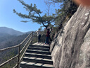 开拓者峰精灵6系 登山杖徒步越野跑步折叠手杖碳素超轻户外拐杖105cm 实拍图