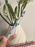 斑马牌（ZEBRA）MA85爱芯活芯铅笔营养素限定0.5mm 练字绘画活动铅笔高颜值学习文具用品 浅蓝色 单支装 实拍图