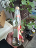 迎春酒 经典老迎春酱香型白酒 42度 500ml*1瓶 单瓶装 送礼 实拍图