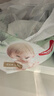 好奇（Huggies）小森林拉拉裤L4片(9-14kg)【试用】 实拍图