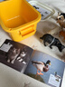 babycare&bctoys儿童玩具实心仿真农场动物桶动物模型奶牛绵羊金毛犬 实拍图