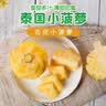 泰国去皮香水小菠萝开袋即食新鲜应季水果削皮无眼迷你小凤梨 泰国小菠萝2斤装（6-10个） 清甜多汁 实拍图