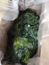 海芝宝荣成海带 双有机深海小海带1.5kg箱装 凉拌煲汤火锅 源头直发 实拍图
