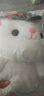 爱尚熊兔子玩偶毛绒玩具小女孩布娃娃陪睡送女生生日礼物女儿童抱枕公仔 实拍图