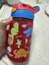 contigo康迪克儿童吸管水杯夏季运动塑料水杯HBC-GIZ233恐龙乐园400ml 实拍图