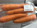 【水果菜】沙地脆甜胡萝卜约500g  实拍图