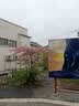 酷威猫适用苹果充电器快充数据线iphone14promax/13/12/11/xs/xr手机ipad平板车载USB接口充电线插头套装 1米苹果线【USB-lightning】 实拍图