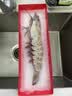 北海湾 高品质活冻黑虎虾 超大虾类大虾生鲜老虎虾冰鲜印度海虾盒装送礼 【巨大虾皇 共3只】 1200g(净重) 实拍图