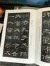 中国碑帖名品：乙瑛碑 实拍图