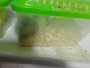 家养金丝熊小仓鼠精选虎纹眼圈奶牛熊米熊仓鼠活体宠物巨型苍鼠 金丝熊+虎纹熊 公 实拍图
