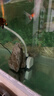 水族时光30W变频水泵蓝牙智控鱼缸潜水泵小型底吸水陆两用循环泵  晒单实拍图