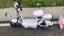 飞鸽电动自行车 新E75新国标电动车2026长续航45KM48V13A铅酸电池智能家用电瓶车可上牌星愿紫 实拍图