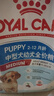 皇家狗粮 幼犬狗粮 幼犬奶糕 宠物中型犬MEJ32全价犬粮2-12月15KG 实拍图