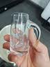 青苹果 水晶白酒杯套装家用玻璃分酒器小号一口杯中式创意白酒酒盅饭店 水晶分酒器100x6+高脚杯15x6 实拍图