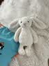 Jellycat害羞乳白色邦尼兔动物毛绒玩偶安抚玩偶娃娃送礼520礼物 害羞乳白色邦尼兔 Small 实拍图