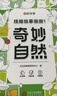 【时光学】儿童线描临摹画册全套6册带12色彩铅简笔画卡通动物手绘本线稿漫画涂色控笔训练幼儿园入门画本 实拍图