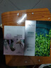 自然堂【周翊然同款】喜马拉雅雪域紫草面膜26ml*5片细致毛孔敏肌可用 实拍图