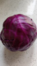 【顺丰】有机紫甘蓝 紫包菜卷心菜沙拉榨汁健康轻食有机蔬菜 500g 实拍图