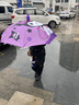 葆氏儿童雨伞女童遮阳伞长柄卡通小学生直柄晴雨两用黑胶伞紫色 实拍图