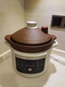 小熊（Bear）电炖锅 电炖盅电砂锅 煲汤锅炖汤锅紫砂锅 燕窝炖盅 煮粥婴儿辅食锅电煮锅 3L DDG-K30H1 实拍图