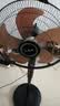 长城电风扇落地扇金属铝叶风扇18吋大功率大风量摇头电扇底噪可拆洗立式风扇交流定频风扇FS-45(407)II 实拍图