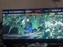 Vidda海信电视50英寸 R50 一级能效 莱茵低蓝光护眼 以旧换新家电补贴游戏液晶平板电视机50VR1Q 实拍图