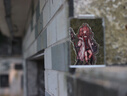 佳能/Canon 600D 700D 750D 760D 800D 850D二手单反相机新手学生入门旅游高清相机 800D+50/1.8 STM【小痰盂套机】 99新 实拍图
