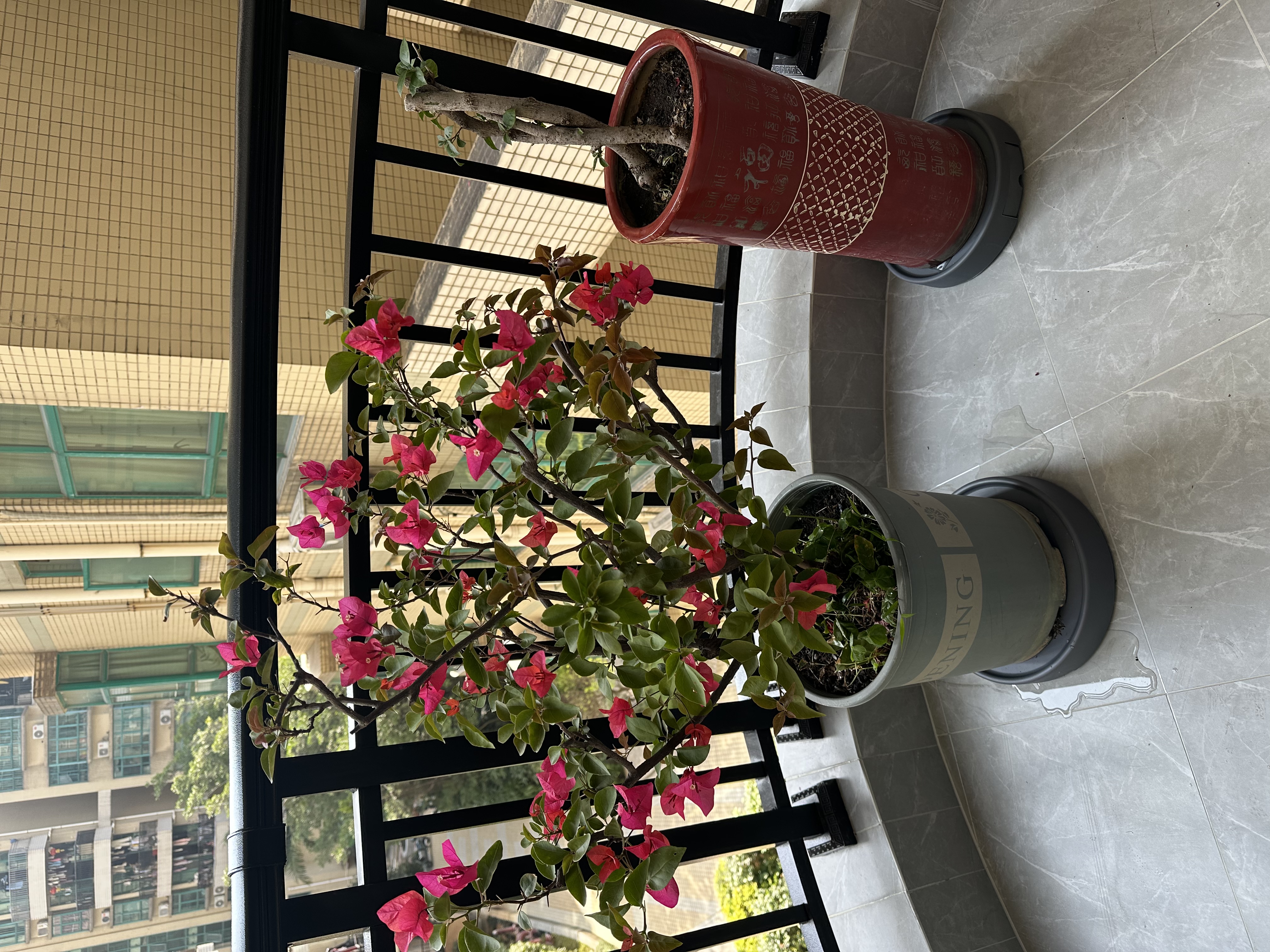 修正花乐多*花盆底座带轮大号加厚绿植盆栽花盆底盘接水盘 灰色 -2号28.5cm 实拍图