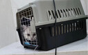 波奇多 宠物航空箱猫狗大容量空运箱 托运航空箱 大号(建议40斤内宠物) 实拍图
