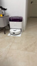 科沃斯地宝mini扫地机器人扫拖一体自动清洗抹布全自动智能家用水箱版绿色高性价比入门首选租房好物 实拍图