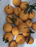 生活＆好管家 四川春见耙耙柑新鲜水果应季橘子现摘孕妇水果整箱桔子橘子 优选级市场果 8.5-9斤【单果80-90mm】净重8斤 实拍图