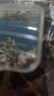 【999足银】天然淡水珍珠耳钉扁圆馒头纯银针耳环轻奢高级银耳饰 橘粉 天然淡水珍珠【9mm】一对 实拍图