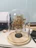 拼酷九龙九凤冠霞帔 3d立体金属拼图模型国潮摆件生日结婚礼物送女友 九龙九凤冠+玻璃灯罩+轻便工具 实拍图