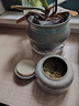 豪峰哥窑茶叶罐2026新款茶具套装密封罐收纳茶盒家用醒茶罐送老师礼物 精选款【哥窑茶叶罐 500ml】简装 实拍图
