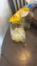 立顿（Lipton）红茶组合茶包黄牌精选袋泡茶100包80包客房办公室下午茶便携官方 茉莉花茶100袋+赠可拉奥蔬菜饼干1包 实拍图