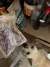 Meatyway爵宴狗零食猫犬通用磨牙小型犬幼犬训练奖励零食冻干花鲳鱼 50g 实拍图