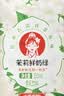 COSTA 开市客木兰茶语茉莉鲜奶绿350ml生鲜牛乳饮料原味高颜值奶茶饮品 茉莉鲜奶绿350ml*8瓶 实拍图