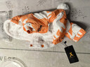 华元宠具（hoopet）狗狗衣服冬天保暖四脚羽绒服宠物小型犬比熊柯基棉服泰迪冬季衣服 【加厚加绒】四脚棉服 橘 XS：背长21cm【建议1-3斤】 实拍图