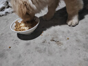 好主人狗粮 全犬种通用幼犬粮2.5kg泰迪金毛拉布拉多比熊天然粮5斤/20斤 全犬种幼犬粮10斤 实拍图