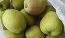 京鲜生 新疆库尔勒香梨 8斤装 特级 单果120g+ 生鲜水果礼盒 实拍图
