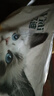 亿迪冻干猫粮幼猫成猫粮蓝莓紫薯10斤全价蓝猫布偶英短国产5kg次日达 实拍图